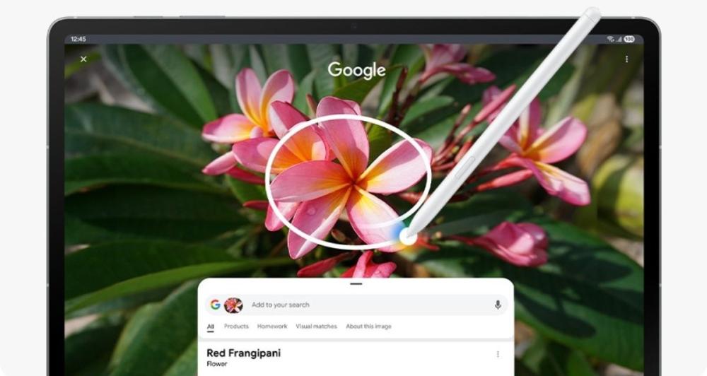 Cu funcția Circle & Google Search a tabletei Smasung Galaxy Tab S10 FE+, încercuiești sau evidențiezi direct pe ecran text, imagini sau videoclipuri și primești imediat rezultatele dorite.